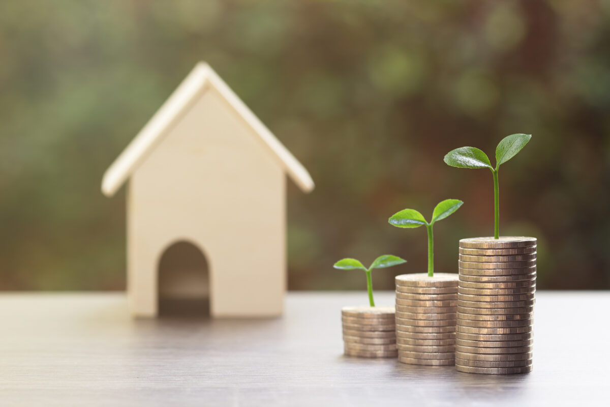 積み重ねたコインの上に芽が育つ様子。お金の成長や資産形成を象徴するイメージ